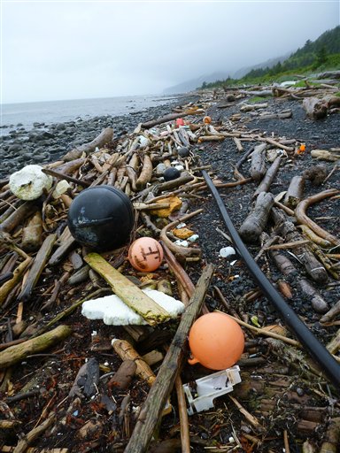 1Западное побережье США ждет большое количество мусора от японского цунами
